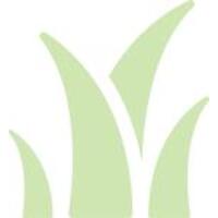 Хвоща полевого трава Лектравы 100г