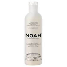 NOAH Hair Маска для нейтрализации желтого тона с черникой 250мл