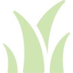 Хвоща полевого трава Лектравы 100г