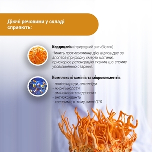 Кордицепс супер капс. 400мг №60