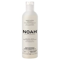 NOAH Hair Маска для нейтрализации желтого тона с черникой 250мл