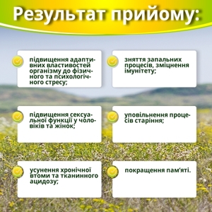Ашваганда Супер концентрат капс. 500мг №60