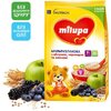 Каша Milupa безмол.мультизл.с яблоком, черникой, ежевикой от 7 мес.
